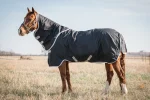 Hot HORSEWARE Ireland® Amigo® Stock Horse Plus Turnout Light Black/Silver