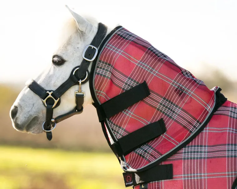 dnmlAROW_5.webp Fashion KENSINGTON ™ Mini Protective Neck Cover