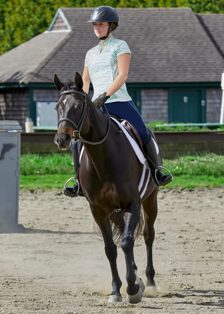 dover-saddlery-ladies-notch-v-mWvQMyNH-5.webp Sale KIRSCH Dover Saddlery® Ladies’ Notch-V Stripe Short Sleeve Shirt