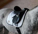 ds-classic-dressage-saddle-lDnuELLm-0.webp