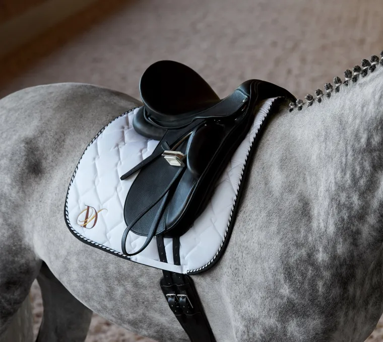 ds-classic-dressage-saddle-lDnuELLm-2.webp Hot CUEROS SANTA CRUZ DS Classic Dressage Saddle