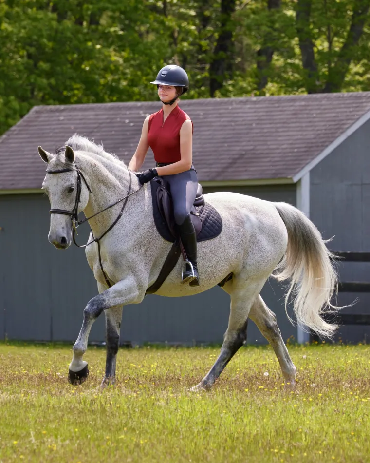 ds-ladies-marion-sleeveless-sh-rphPjbNQ-3.webp Best KIRSCH DS Ladies’ Marion Sleeveless Shirt