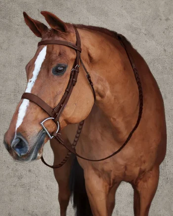 Clearance HARMOHN KRAFT DS Premier Hunt Bridle Oakbark