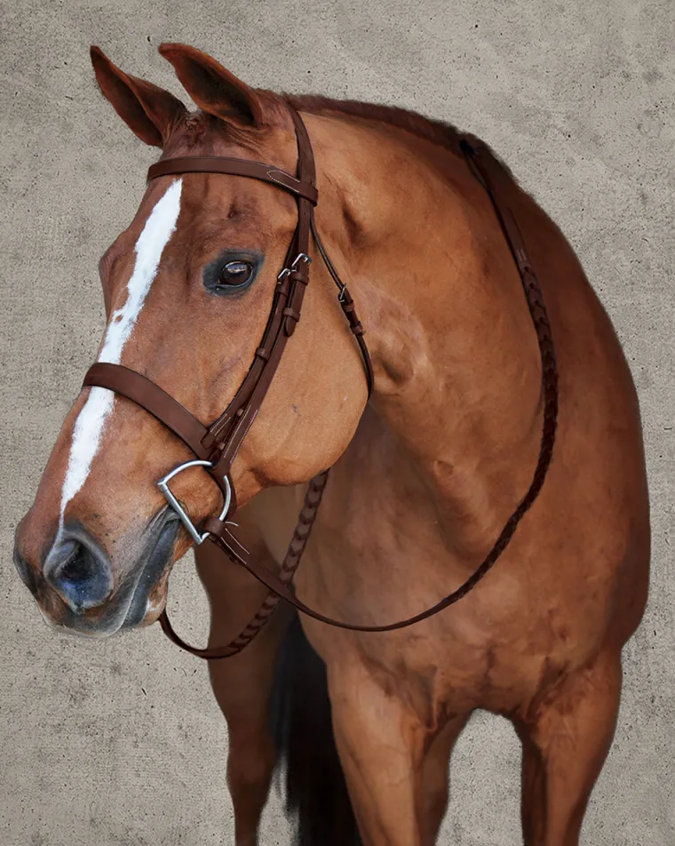 ds-premier-hunt-bridle-fEyXOaCc-1.webp Clearance HARMOHN KRAFT DS Premier Hunt Bridle Oakbark