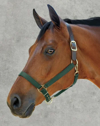 New ZEETA INTERNATIONAL DS Heavy Nylon Breakaway Halter