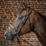 dyon-anatomic-bridle-HLgTlEaL-0.webp