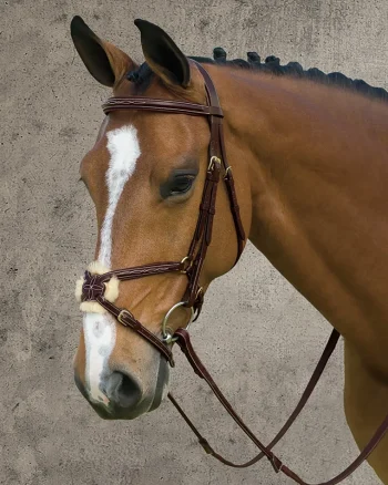 New KENTUCKY HORSEWEAR Dy'on® Figure-8 Bridle Brown