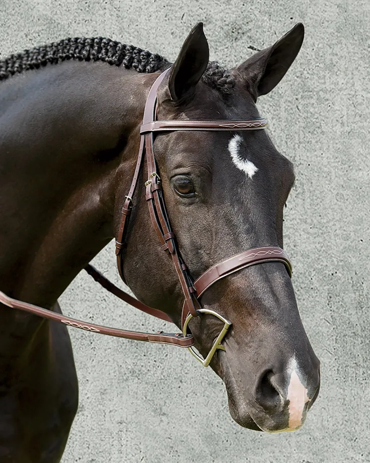 dyon-wide-nose-hunter-bridle-qYTdSzqf-1.webp Outlet DY ON Dy'on® Wide Nose Hunter Bridle Brown