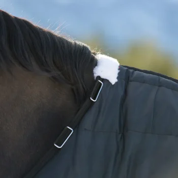 Sale EQUINAVIA Horze Nevada Lightweight Stable Blanket Black