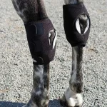 Clearance MACKINNON Ice Horse® Hock Wrap