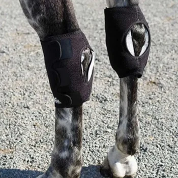 Clearance MACKINNON Ice Horse® Hock Wrap