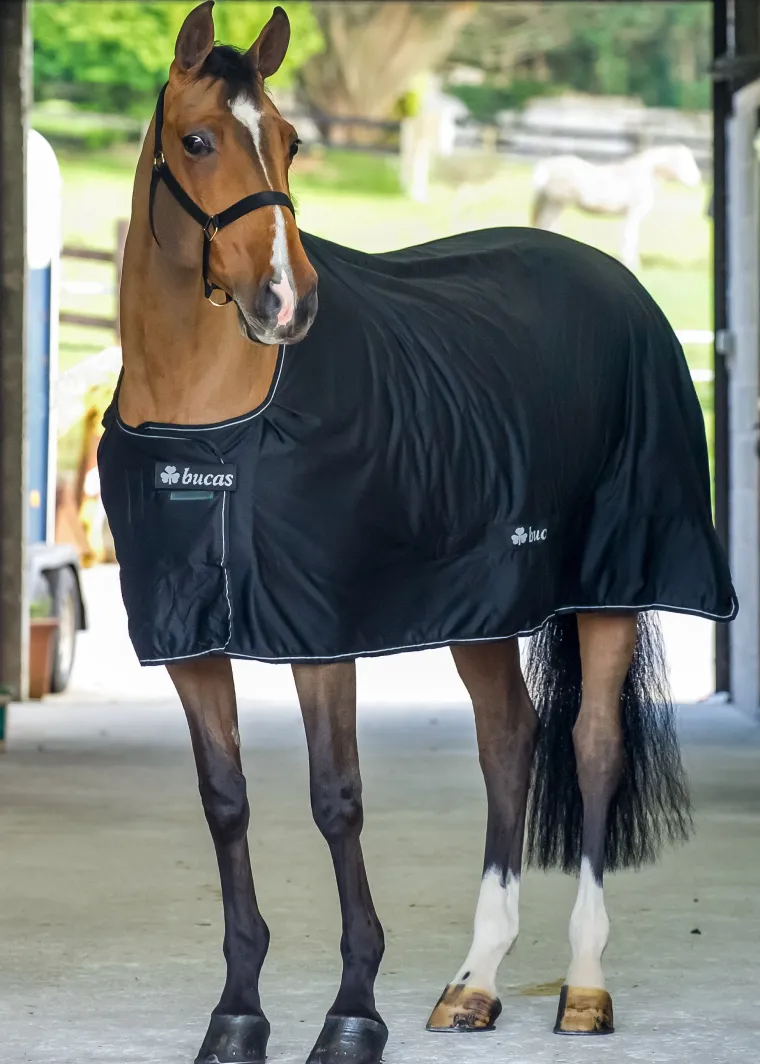 eaZRljHT_0.webp Hot TOKLAT ORIGINALS Bucas Shamrock Power Cooler