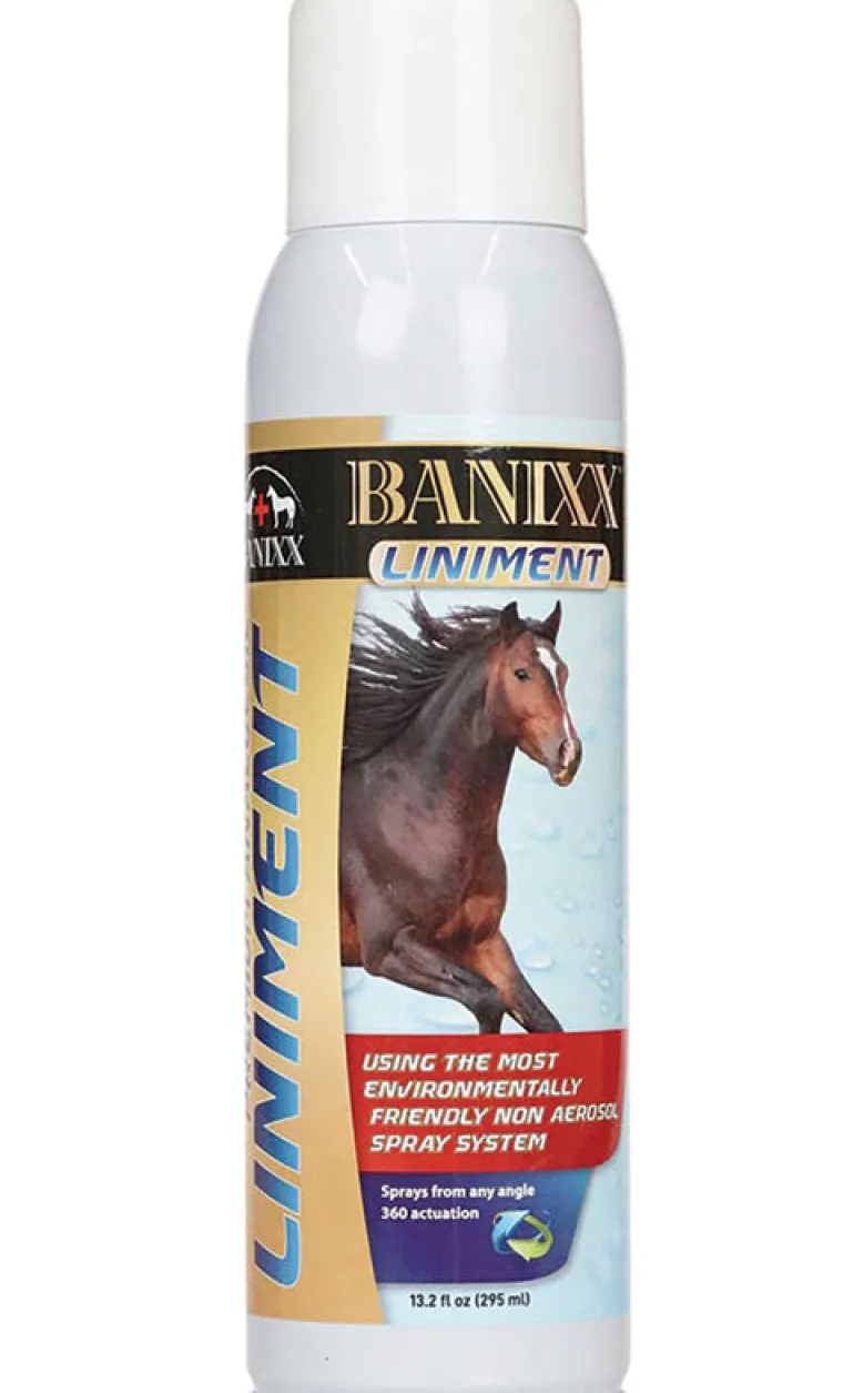 ejGWLKsv_0.webp Outlet ANIMAL HEALTH INT Banixx® Liniment Spray