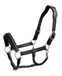 equestrian-stockholm-anatomic-KUNvHWkH-0.webp