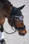 equestrian-stockholm-modern-ea-WMPPmxbk-0.webp