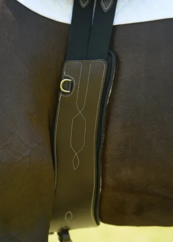 Best EQUIFIT ® Anatomical Jumper Girth With SheepsWool™ T-Foam Liner Brown/Black