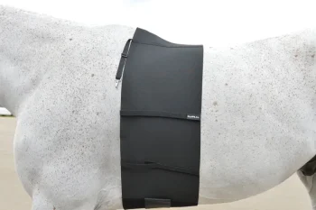 Best EQUIFIT ® BellyBand™ Black