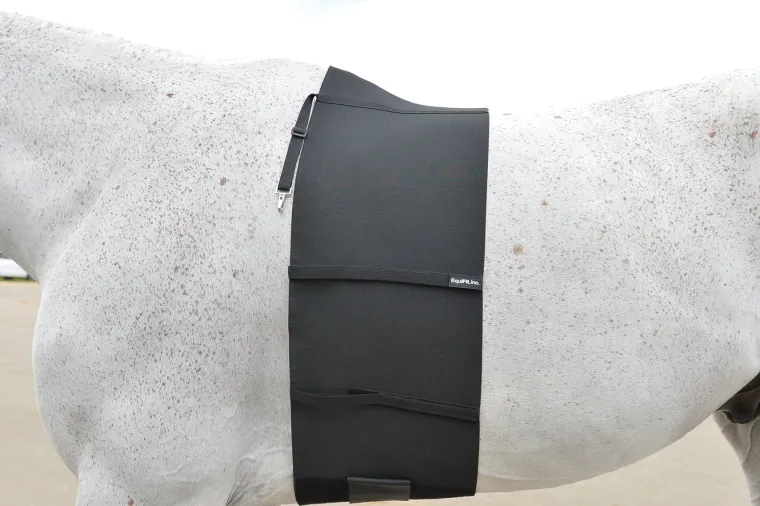 equifit-bellyband-NkftXBYR-0.webp Best EQUIFIT ® BellyBand™ Black