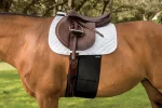 equifit-bellyband-NkftXBYR-0.webp