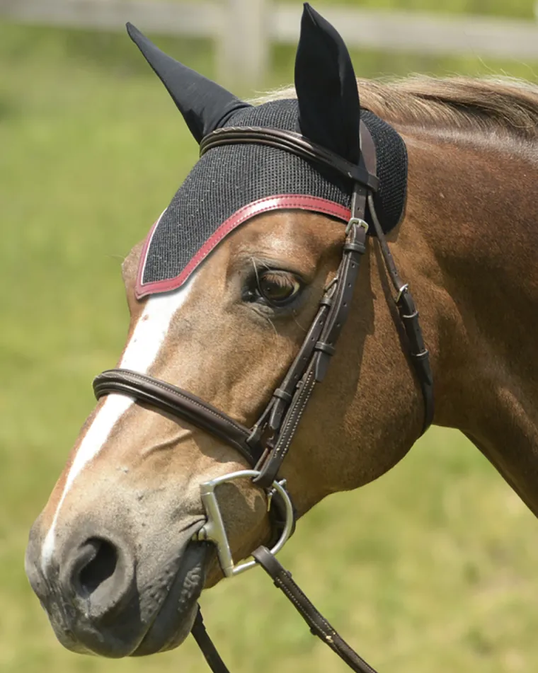 equifit-ear-bonnet-with-colore-wkGYqriY-2.webp Discount EQUIFIT ® Ear Bonnet With Colored Trim And No Logo