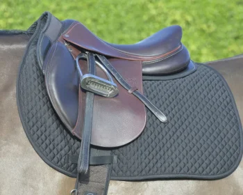 Hot EQUIFIT ® Essential Dressage Pad