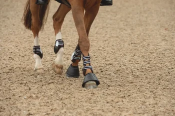 Online EQUIFIT ® Essential Fleece Rolled Top Bell Boots