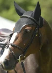 equifit-silentfit-ear-bonnet-cCUrMnVu-0.webp