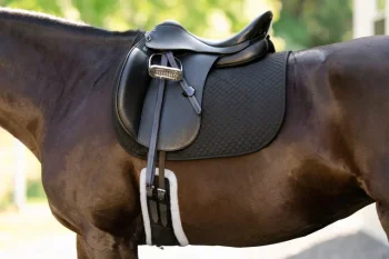 Clearance EQUIFIT ® UltraWool™ Essential Dressage Girth Black/Natural