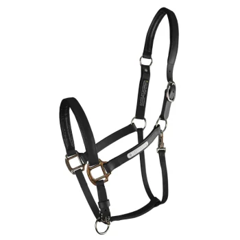 Best WORLD EQUSTRN BRNDS Equilibrium Stellar All-Weather Breakaway Halter