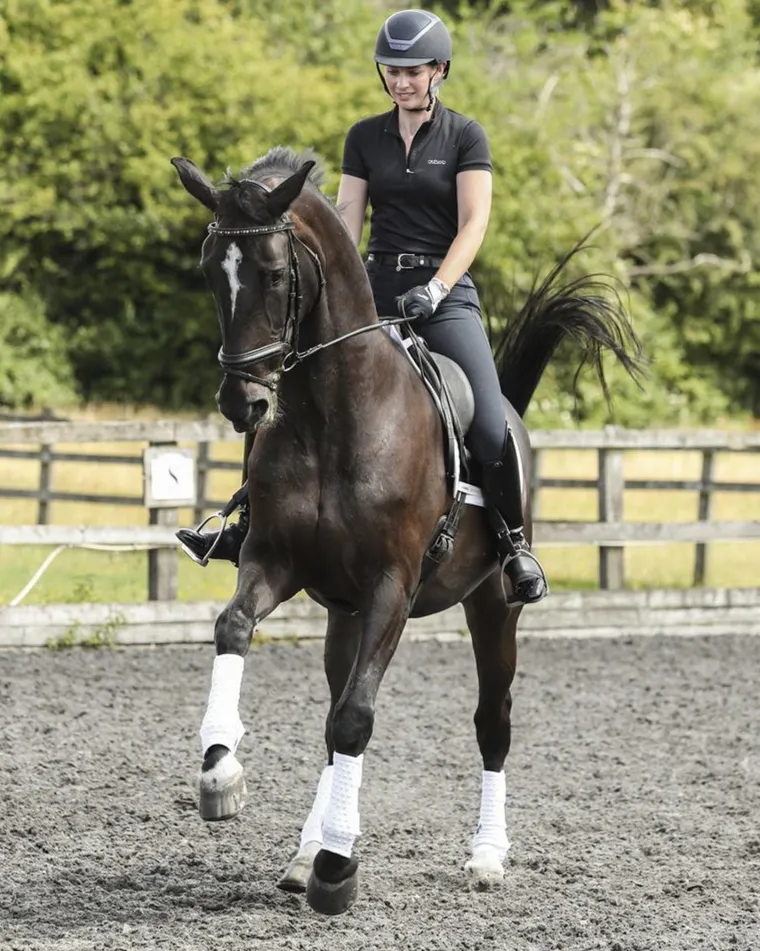 equilibrium-stretch-flex-trai-YmglKPTf-8.webp Hot WORLD EQUSTRN BRNDS Equilibrium Stretch & Flex Training Wraps