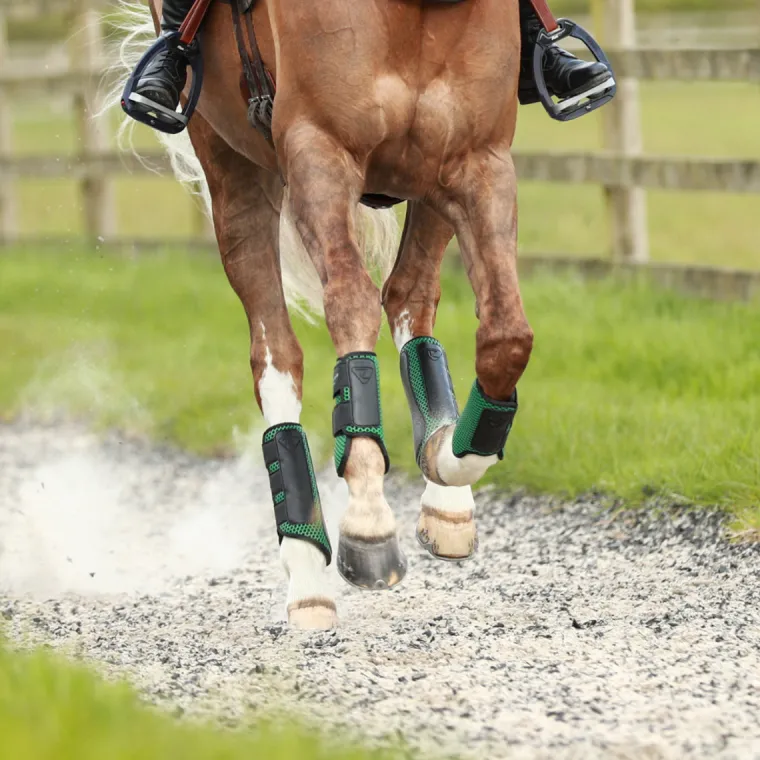 equilibrium-tri-zone-impact-fr-sqFVlXTq-8.webp Best WORLD EQUSTRN BRNDS Equilibrium Tri-Zone Impact Front Boots