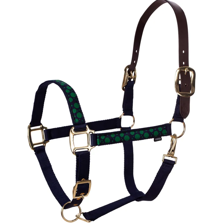 equinavia-pegasus-ribbon-break-PtCEsohM-0.webp Sale EQUINAVIA Pegasus Ribbon Breakaway Halter