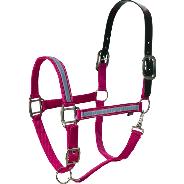 equinavia-pegasus-ribbon-break-PtCEsohM-2.webp Sale EQUINAVIA Pegasus Ribbon Breakaway Halter