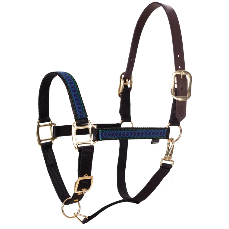 equinavia-pegasus-ribbon-break-PtCEsohM-3.webp Sale EQUINAVIA Pegasus Ribbon Breakaway Halter