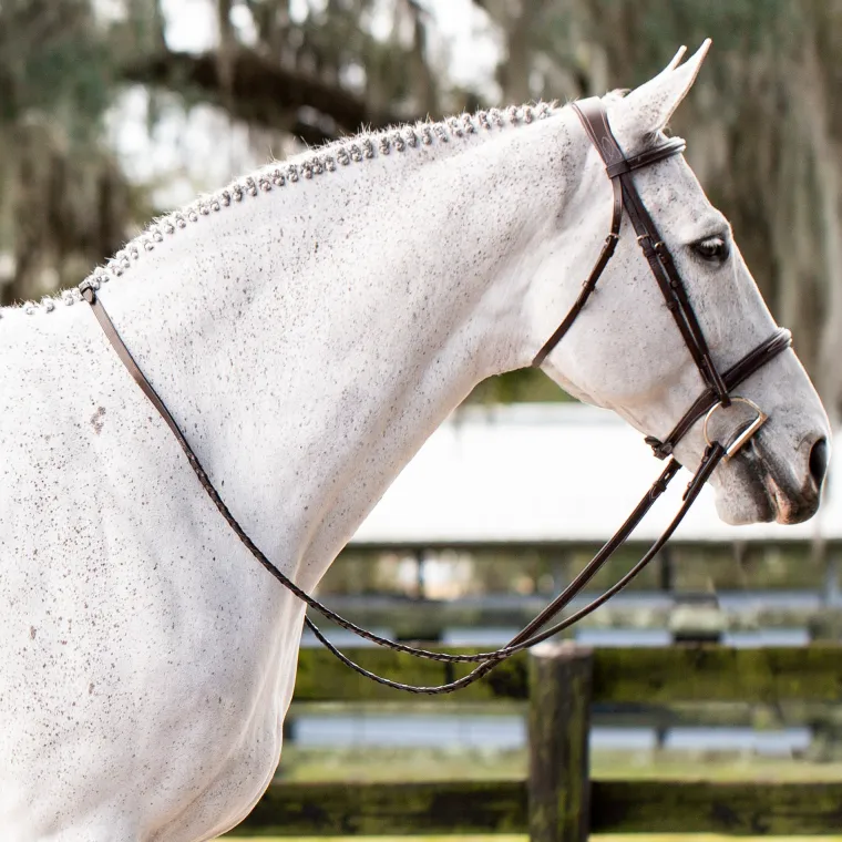 equinavia-valkyrie-fancy-stitc-uDbPRoNV-8.webp Discount EQUINAVIA Valkyrie Fancy-Stitched Hunter Bridle & Reins Chocolate Brown
