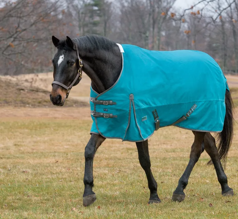 ewDHspZl_7.webp New CWEAR BRANCH Rider’s International™ Supreme Heavyweight Turnout Blanket