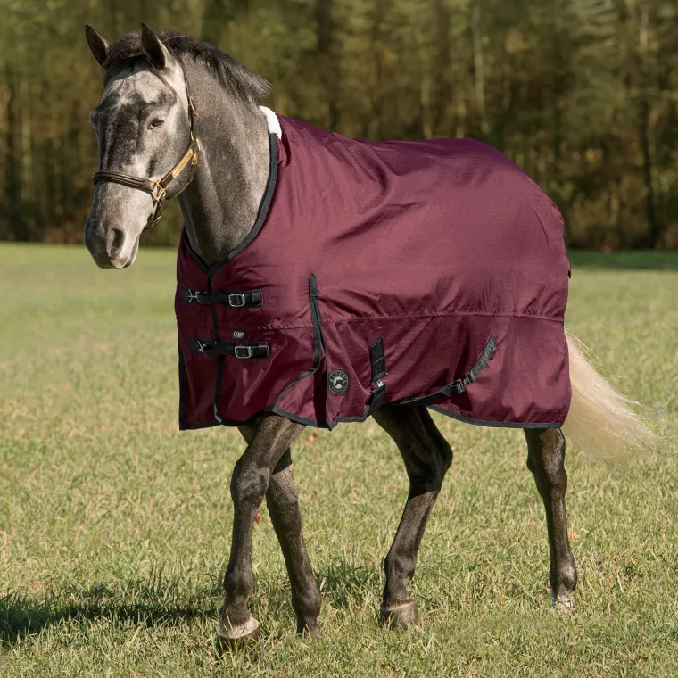ewDHspZl_8.webp New CWEAR BRANCH Rider’s International™ Supreme Heavyweight Turnout Blanket