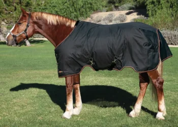 Hot KENSINGTON ™ Pony Signature Lightweight Turnout Blanket