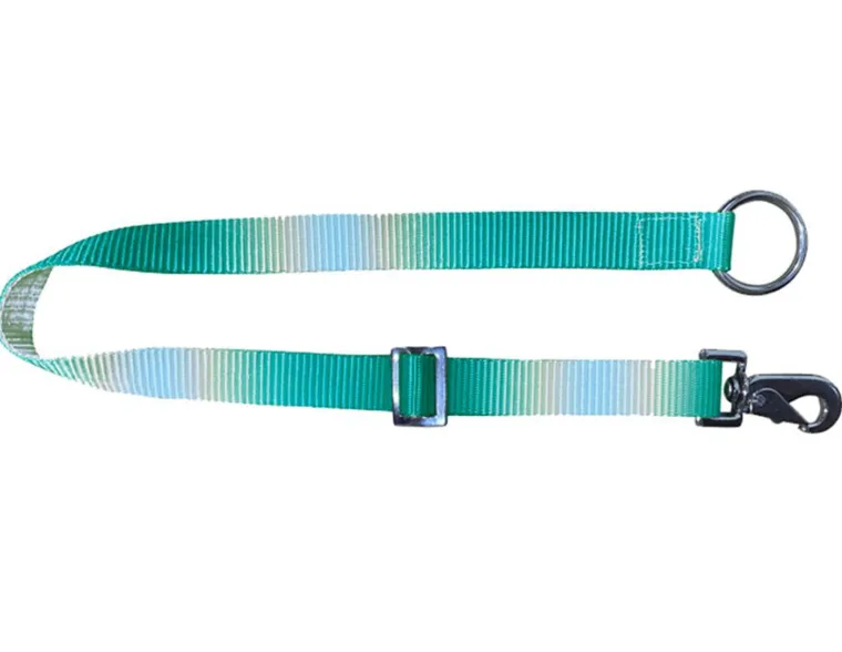 fLuZILAn_3.webp Fashion SHILOH STABLES TACK Showman® Ombré Nylon Adjustable Bucket Hanger