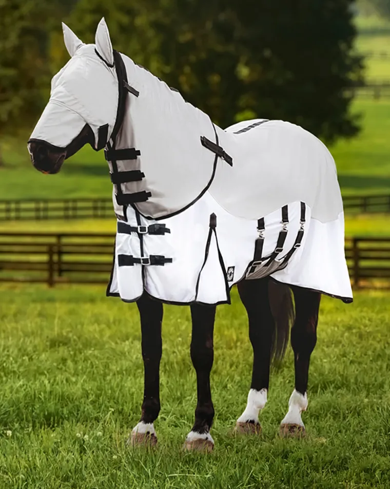 faMMQoYo_1.webp Best KARTIKEYA INTL DS Fly Combo Sheet Silver/White