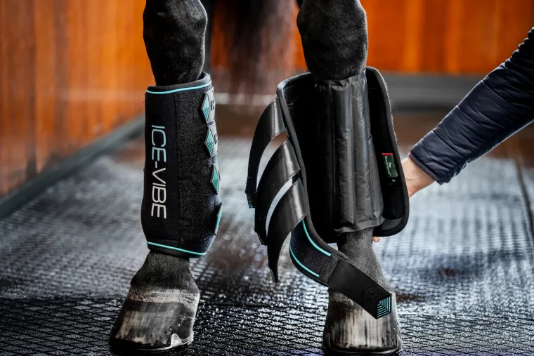 fgBUxXFf_2.webp Online HORSEWARE ® Ireland ICE-VIBE® Leg Wraps Black/Aqua