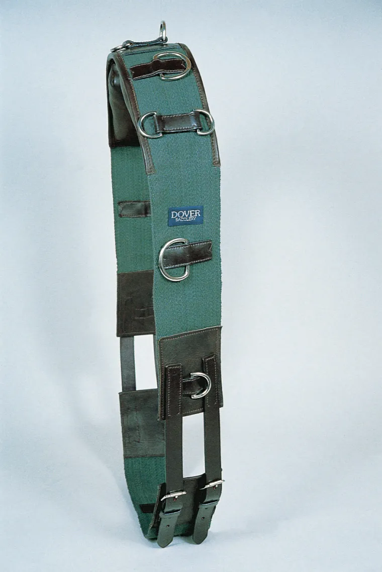 fiapOfzK_0.webp Sale KINGS INTERNATIONAL Suffolk™ Classic Web Training Surcingle