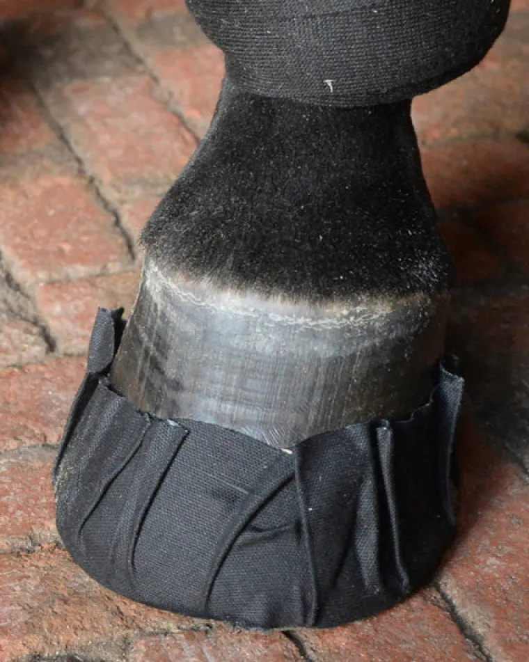 gMQXgewS_0.webp Fashion EQUIFIT ® Pack-N-Stick HoofTape Black