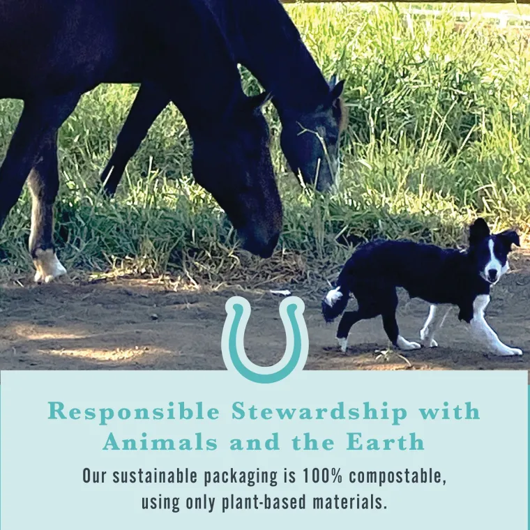 gRzKqUUz_3.webp New WITHERS & WITHERS Sugar-Free Peppermint/Marshmallow Nutra-Treats for Horses