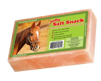 Outlet ANIMAL HEALTH INT Horsemen’s Pride™ Jolly Salt Snack Brick