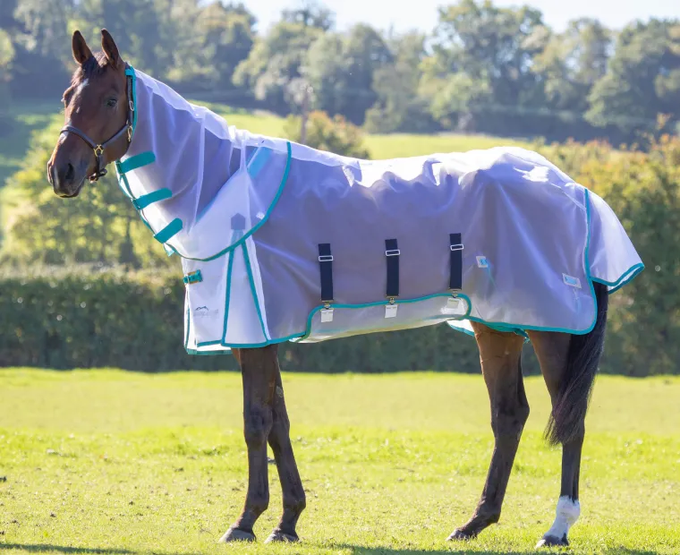 gvjXPsrw_0.webp Clearance SHIRES EQUESTRIAN Shires Mesh Fly Sheet & Neck Cover White/Teal/Mustard