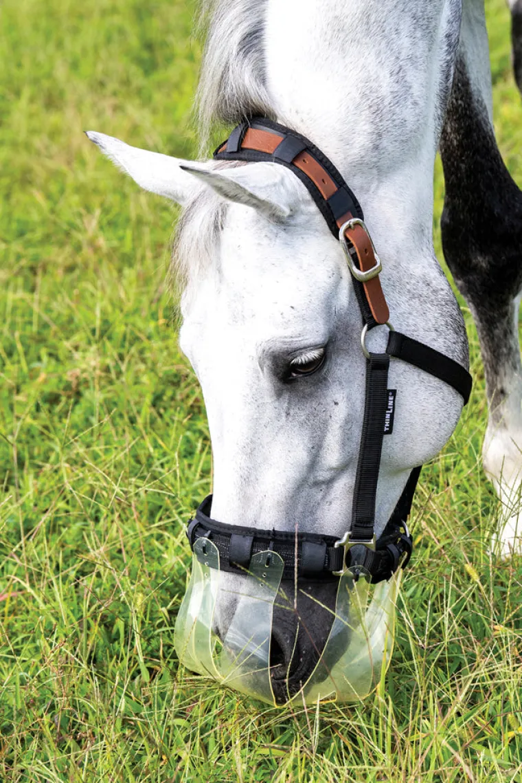 hWRKIJQs_2.webp Discount THINLINE ® Flexible Filly Slow Feed Grazing Muzzle 2.5+cm Clear