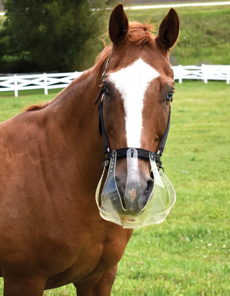 hWRKIJQs_3.webp Discount THINLINE ® Flexible Filly Slow Feed Grazing Muzzle 2.5+cm Clear