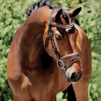 Fashion HALTER EGO ® Catalonia Snaffle Bridle Metallic Bronze Patent