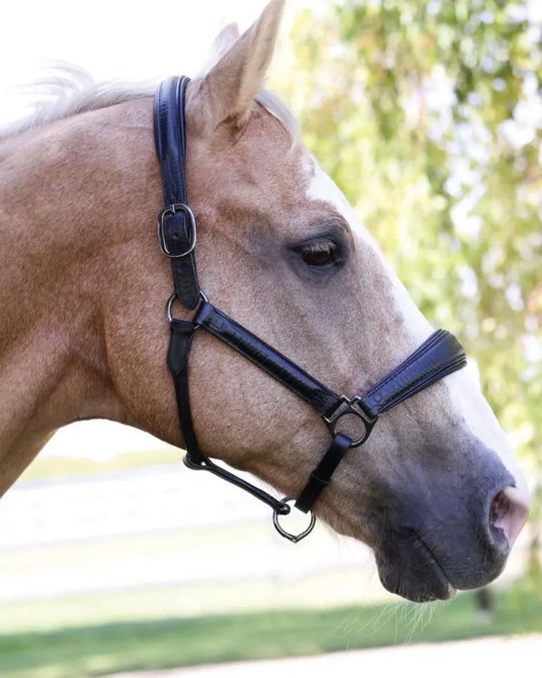 halter-ego-doc-marten-padded-h-WVkTtnBS-1.webp Discount HALTER EGO ® Doc Marten Padded Halter Black